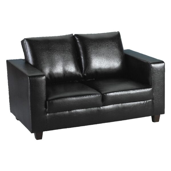 Trinkal Faux Leather 2 Seater Sofa In Black